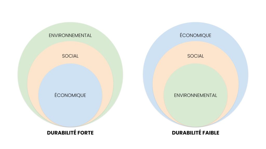 Différents encastrement des sphères économiques, sociales et environnementales selon le modèle de durabilité choisie. Différenciation des priorités.